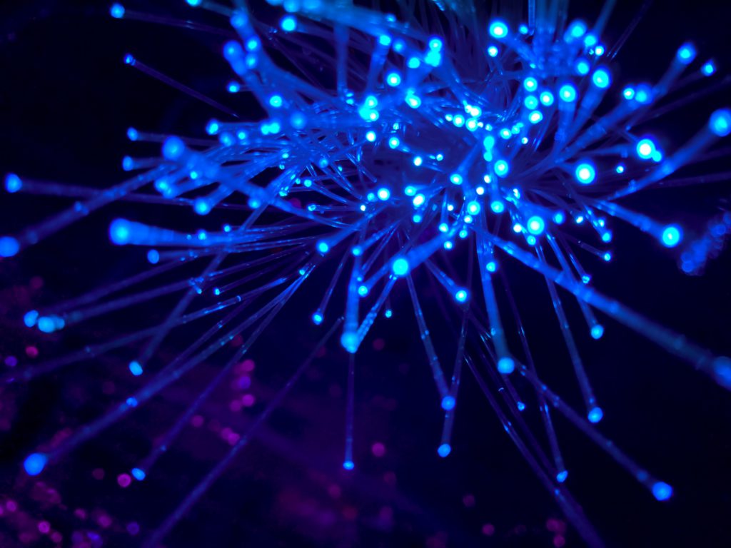 Fibres numériques grâce auxquelles le digital peut fonctionner. Photo by JJ Ying on Unsplash